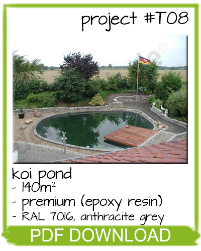 koi pond example
