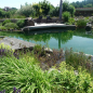 Preview: build a garden pond