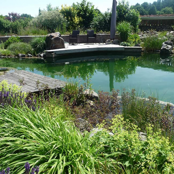 build a garden pond